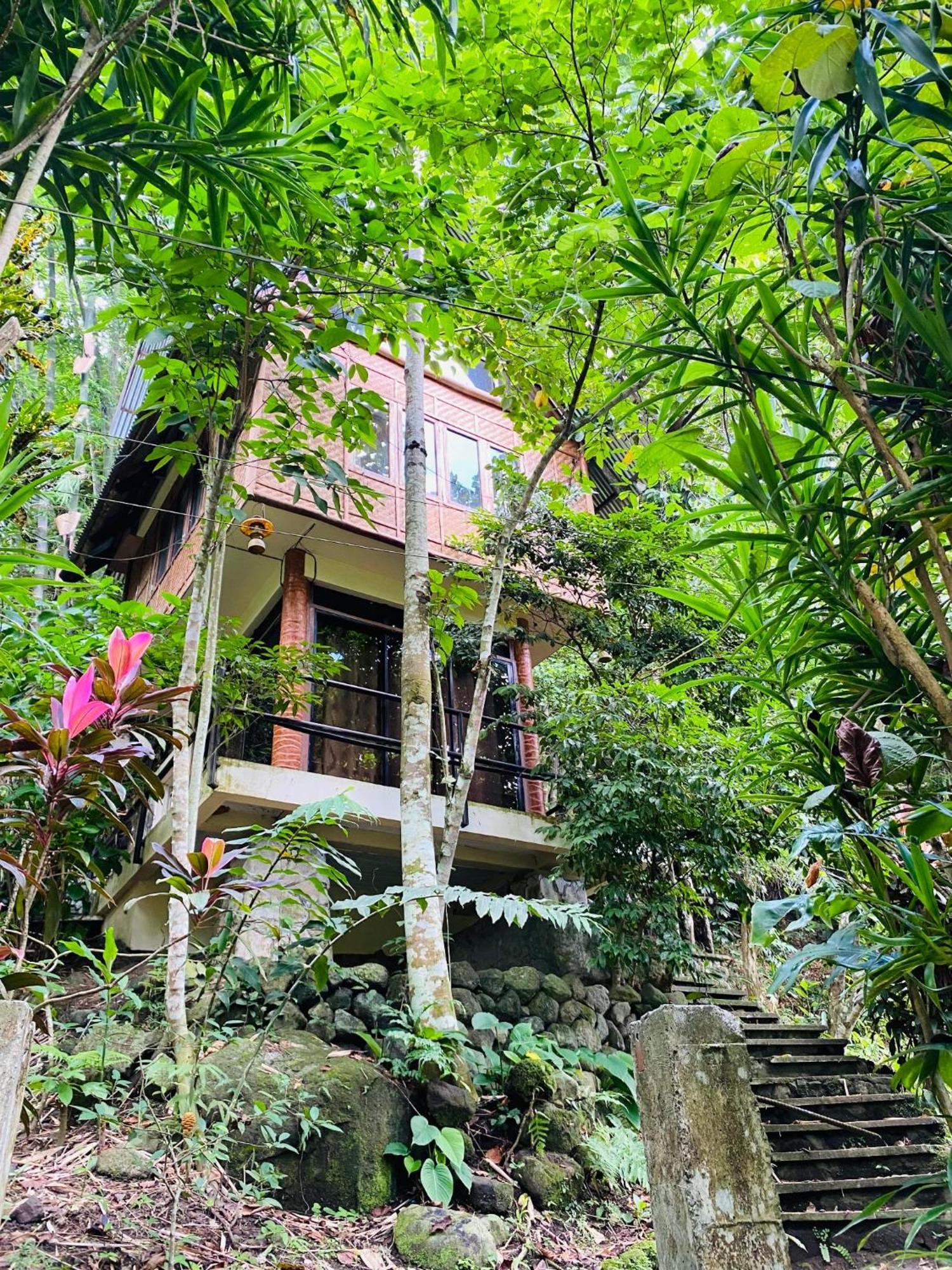 Forest Camp Valencia  Exterior foto